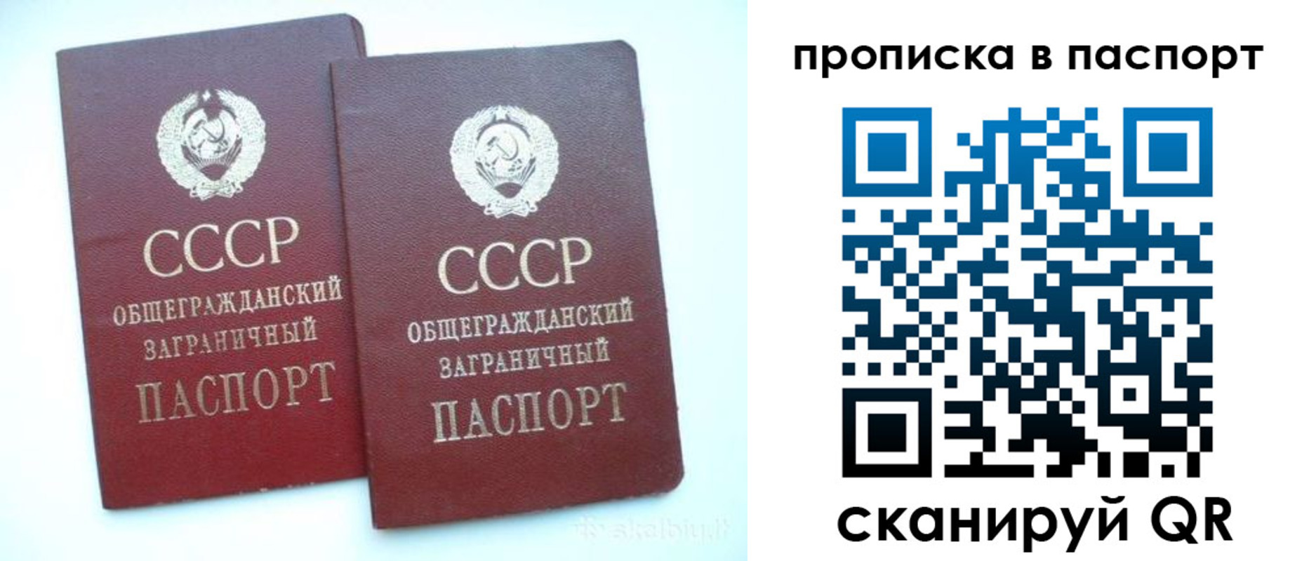 прописка законно в Мичуринске